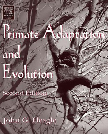 Cover image for Primate Adaptation and Evolution