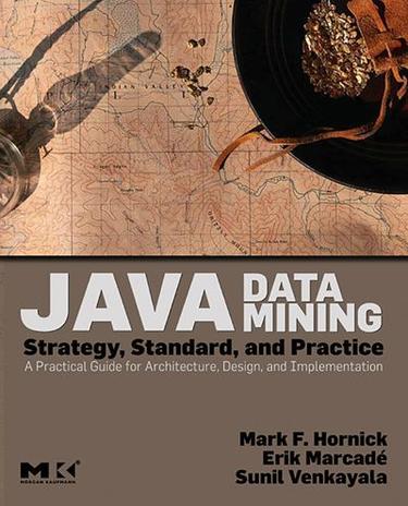 Cover image for Java Data Mining: Strategy, Standard, and Practice