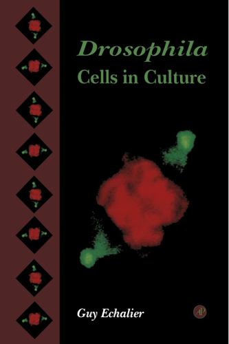 Cover image for Drosophila Cells in Culture