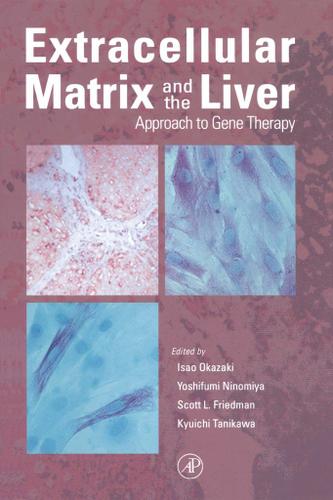 Cover image for Extracellular Matrix and The Liver