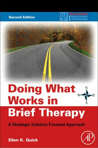 Cover image for Doing What Works in Brief Therapy