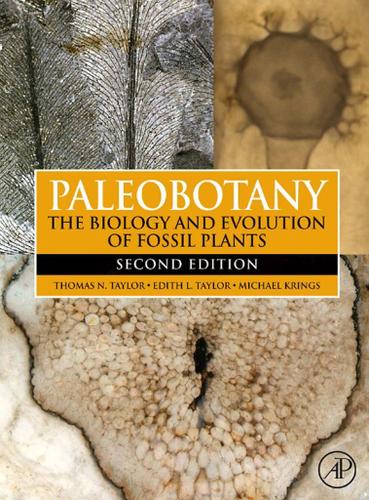 Cover image for Paleobotany