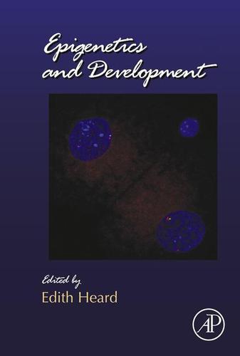 Cover image for Epigenetics and Development
