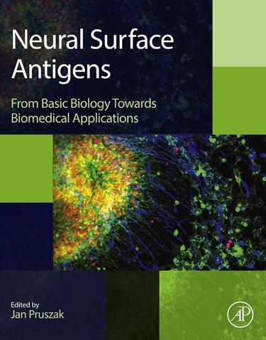 Cover image for Neural Surface Antigens