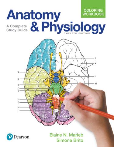 Anatomy and Physiology Coloring Workbook (Subscription)