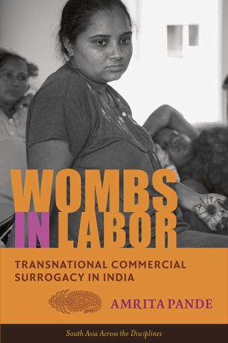Cover image for Wombs in Labor