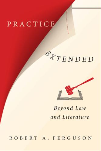 Cover image for Practice Extended