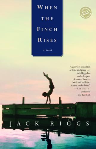 Cover image for When the Finch Rises