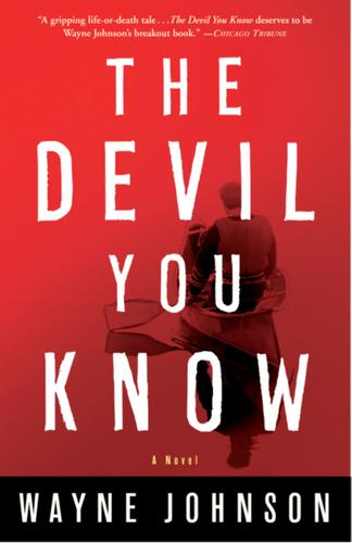 Cover image for The Devil You Know