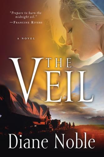 Cover image for The Veil