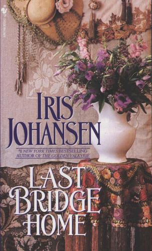 Cover image for Last Bridge Home