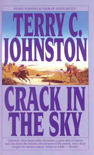 Cover image for Crack in the Sky