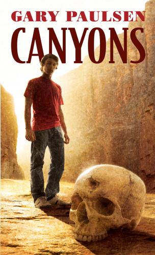 Cover image for Canyons