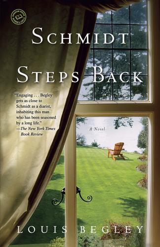 Cover image for Schmidt Steps Back