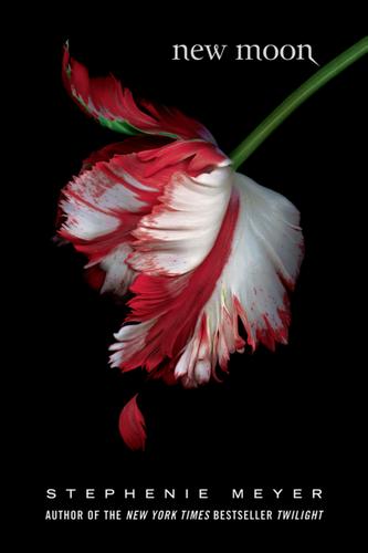 Cover image for New Moon