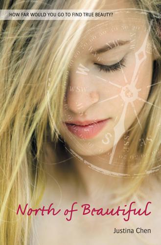 Cover image for North of Beautiful