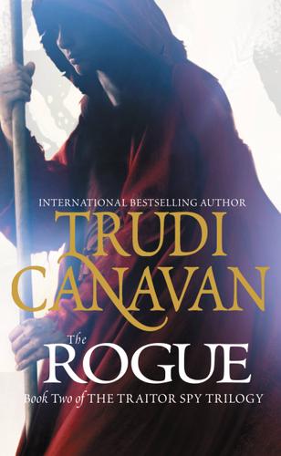 Cover image for The Rogue