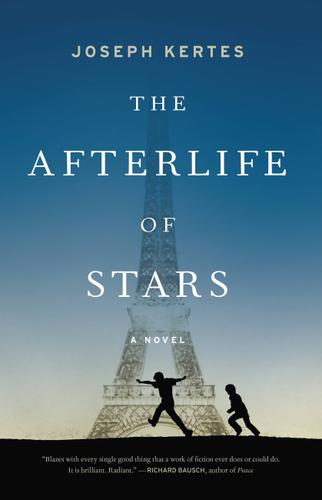 Cover image for The Afterlife of Stars