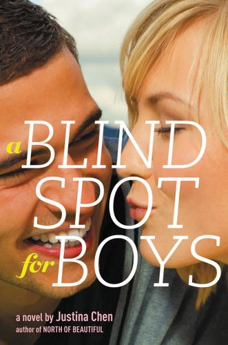 Cover image for A Blind Spot for Boys
