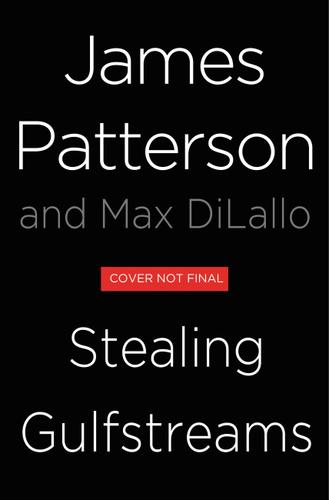 Cover image for Stealing Gulfstreams