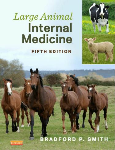 Large Animal Internal Medicine - E-Book