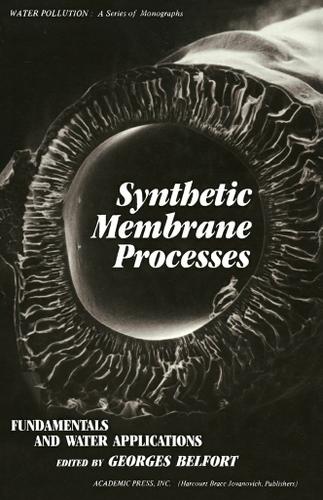 Cover image for Synthetic Membrane Process