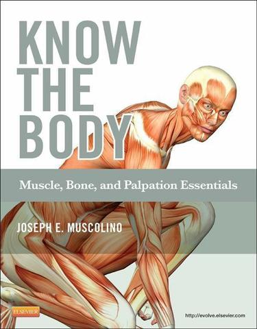 Know the Body: Muscle, Bone, and Palpation Essentials