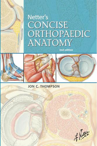Netter's Concise Orthopaedic Anatomy E-Book, Updated Edition