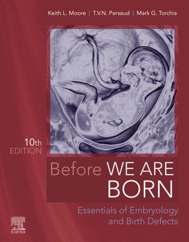 Before We Are Born - E-Book