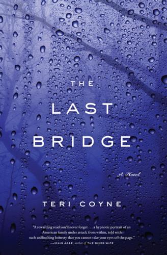 Cover image for The Last Bridge