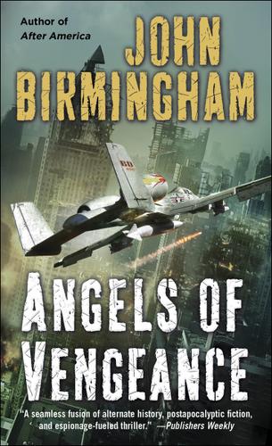 Cover image for Angels of Vengeance