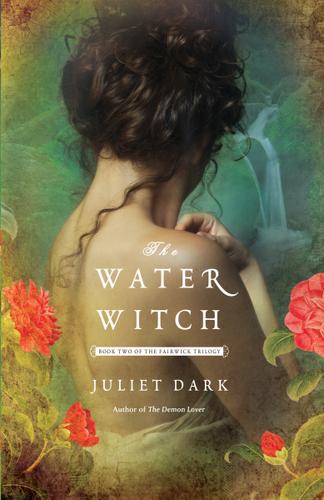 Cover image for The Water Witch