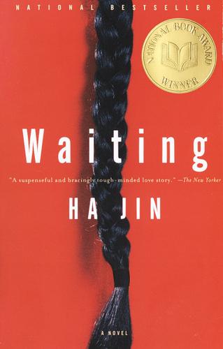 Cover image for Waiting