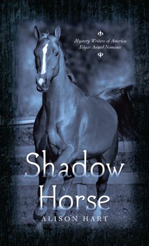 Cover image for Shadow Horse
