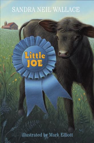 Cover image for Little Joe