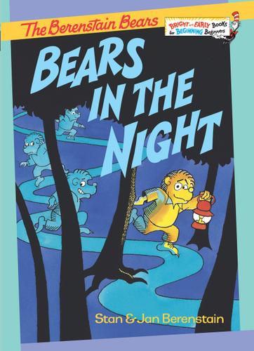 Cover image for Bears in the Night