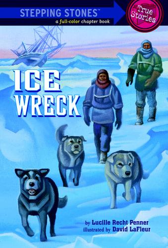 Cover image for Ice Wreck