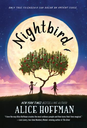 Cover image for Nightbird