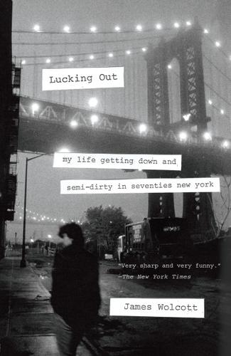 Cover image for Lucking Out