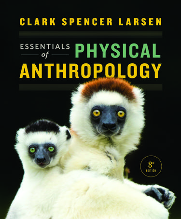 Cover image for Essentials of Physical Anthropology (Third Edition)