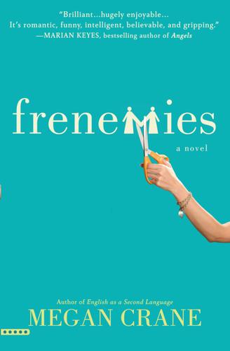 Cover image for Frenemies
