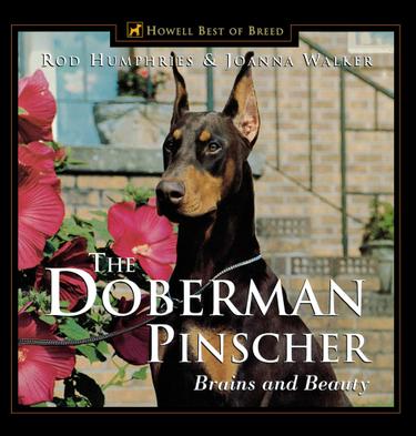 Cover image for The Doberman Pinscher