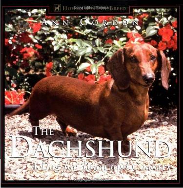 Cover image for The Dachshund
