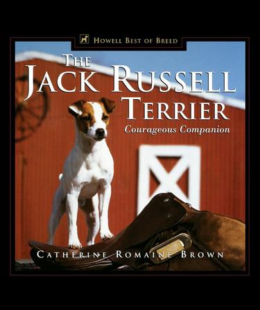 Cover image for The Jack Russell Terrier