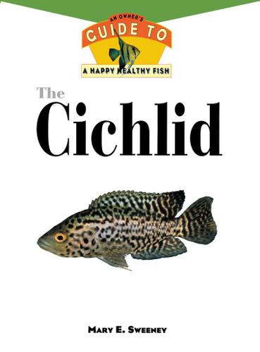 Cover image for The Cichlid