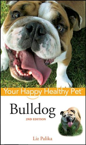 Cover image for Bulldog