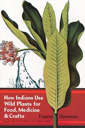 How Indians Use Wild Plants for Food, Medicine & Crafts