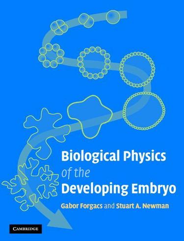 Cover image for Biological Physics of the Developing Embryo