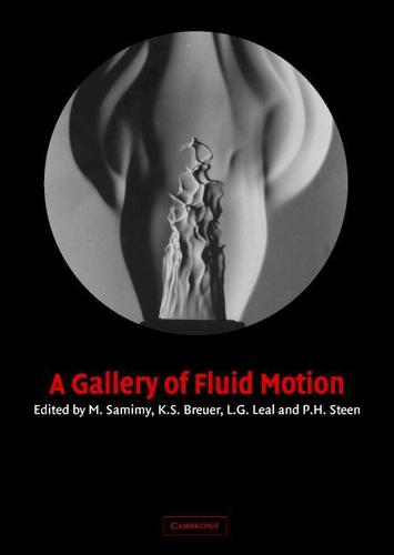 Cover image for A Gallery of Fluid Motion