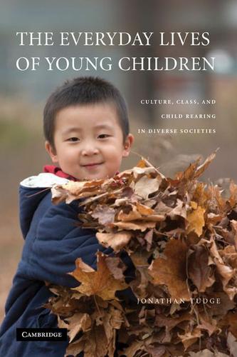 Cover image for The Everyday Lives of Young Children